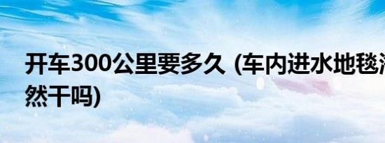 开车300公里要多久 (车内进水地毯海绵能自然干吗)