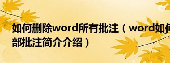 如何删除word所有批注（word如何删除全部批注简介介绍）