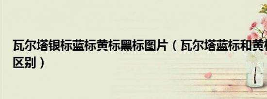 瓦尔塔银标蓝标黄标黑标图片（瓦尔塔蓝标和黄标、黑标的区别）