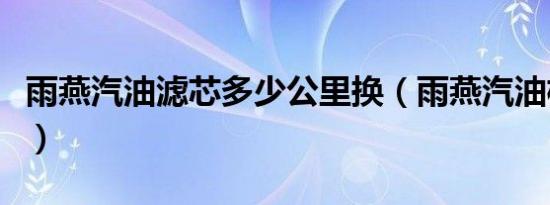 雨燕汽油滤芯多少公里换（雨燕汽油格多久换）