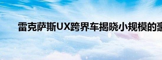 雷克萨斯UX跨界车揭晓小规模的豪华