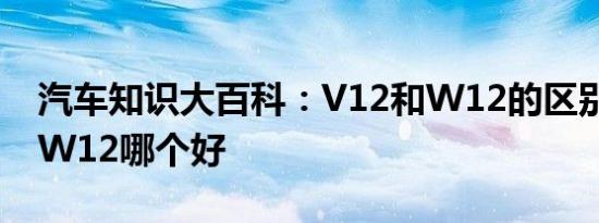 汽车知识大百科：V12和W12的区别 V12和W12哪个好