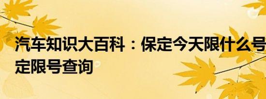 汽车知识大百科：保定今天限什么号 2021保定限号查询