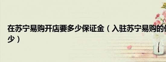 在苏宁易购开店要多少保证金（入驻苏宁易购的保证金要多少）