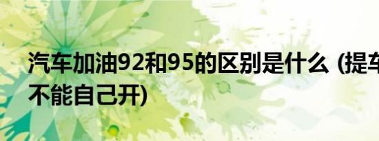 汽车加油92和95的区别是什么 (提车为什么不能自己开)