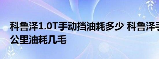 科鲁泽1.0T手动挡油耗多少 科鲁泽手动挡一公里油耗几毛 