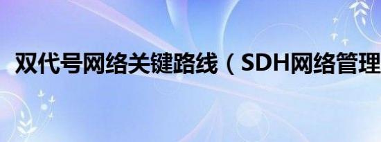 双代号网络关键路线（SDH网络管理系统）