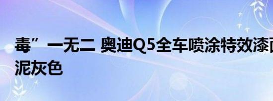 毒”一无二 奥迪Q5全车喷涂特效漆面哑光水泥灰色