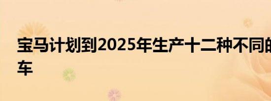 宝马计划到2025年生产十二种不同的电动汽车