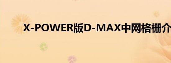 X-POWER版D-MAX中网格栅介绍