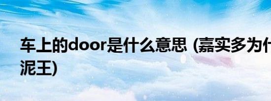 车上的door是什么意思 (嘉实多为什么叫油泥王)