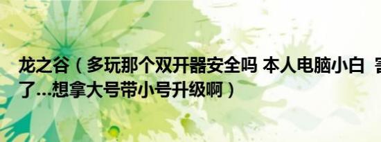 龙之谷（多玩那个双开器安全吗 本人电脑小白  害怕号被盗了…想拿大号带小号升级啊）