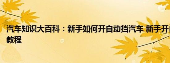 汽车知识大百科：新手如何开自动挡汽车 新手开自动档视频教程