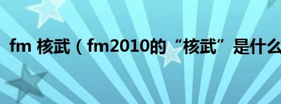 fm 核武（fm2010的“核武”是什么意思）