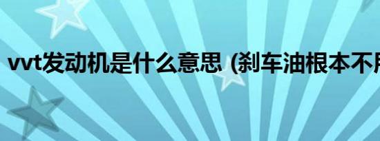 vvt发动机是什么意思 (刹车油根本不用换吗)