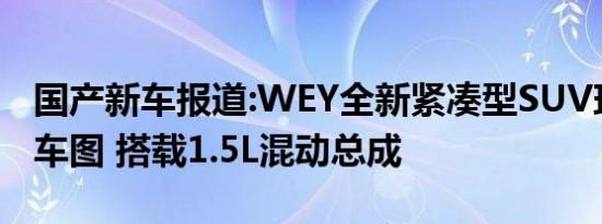 国产新车报道:WEY全新紧凑型SUV玛奇朵实车图 搭载1.5L混动总成