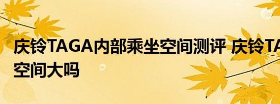 庆铃TAGA内部乘坐空间测评 庆铃TAGA后排空间大吗