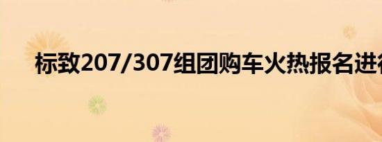 标致207/307组团购车火热报名进行中