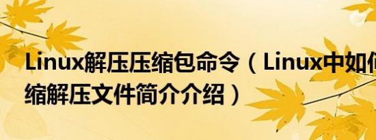 Linux解压压缩包命令（Linux中如何打包压缩解压文件简介介绍）