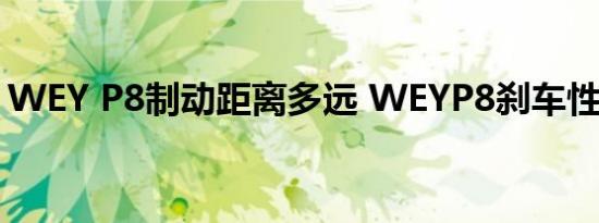 WEY P8制动距离多远 WEYP8刹车性能如何