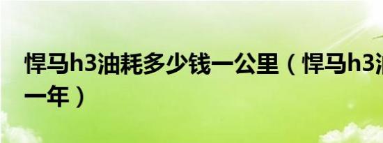 悍马h3油耗多少钱一公里（悍马h3油耗多少一年）