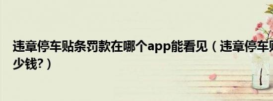 违章停车贴条罚款在哪个app能看见（违章停车贴条罚款多少钱?）