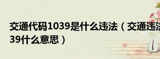 交通代码1039是什么违法（交通违法代码1039什么意思）