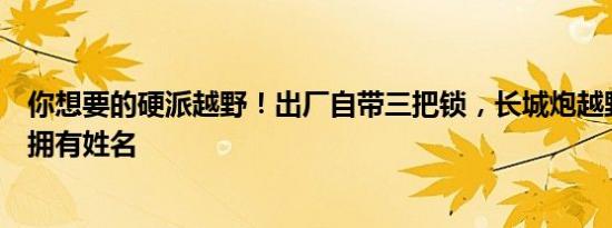 你想要的硬派越野！出厂自带三把锁，长城炮越野皮卡值得拥有姓名