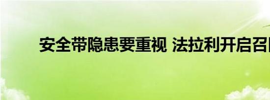 安全带隐患要重视 法拉利开启召回