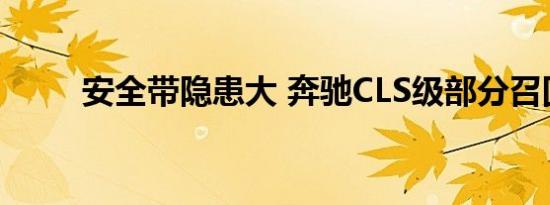 安全带隐患大 奔驰CLS级部分召回