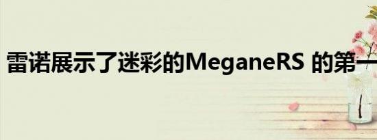 雷诺展示了迷彩的MeganeRS 的第一张照片