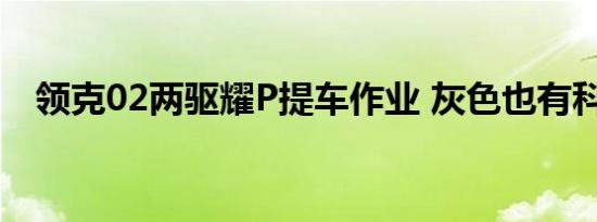 领克02两驱耀P提车作业 灰色也有科技感