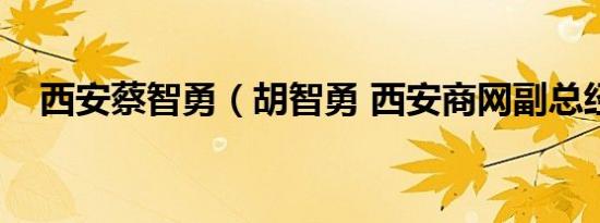 西安蔡智勇（胡智勇 西安商网副总经理）