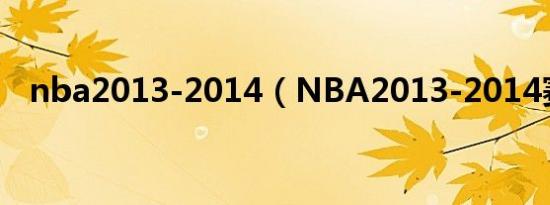 nba2013-2014（NBA2013-2014赛季）