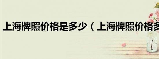 上海牌照价格是多少（上海牌照价格多少钱）