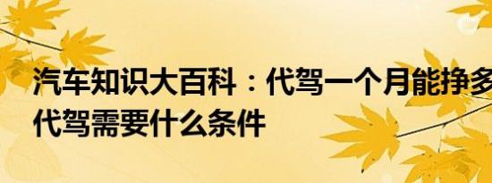 汽车知识大百科：代驾一个月能挣多少钱 做代驾需要什么条件