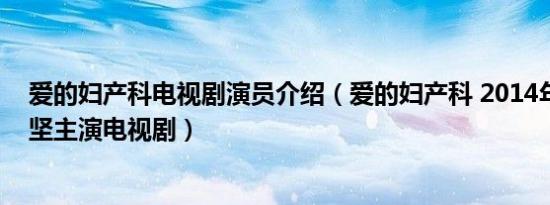 爱的妇产科电视剧演员介绍（爱的妇产科 2014年朱丹、孙坚主演电视剧）