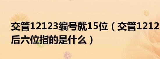 交管12123编号就15位（交管12123发动机后六位指的是什么）