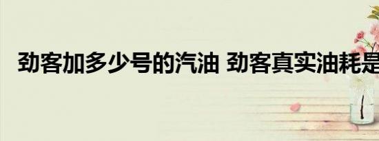 劲客加多少号的汽油 劲客真实油耗是多少 