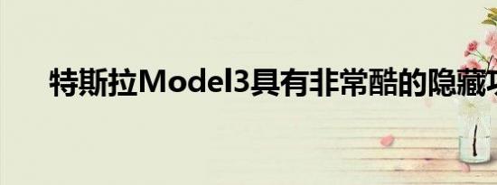 特斯拉Model3具有非常酷的隐藏功能