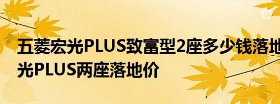 五菱宏光PLUS致富型2座多少钱落地 五菱宏光PLUS两座落地价