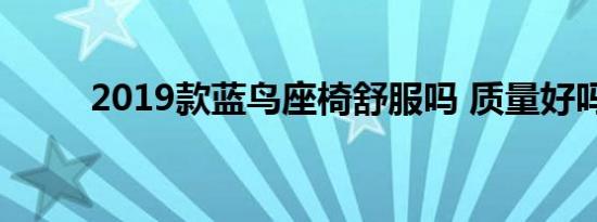 2019款蓝鸟座椅舒服吗 质量好吗 