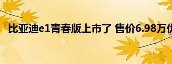 比亚迪e1青春版上市了 售价6.98万优惠多