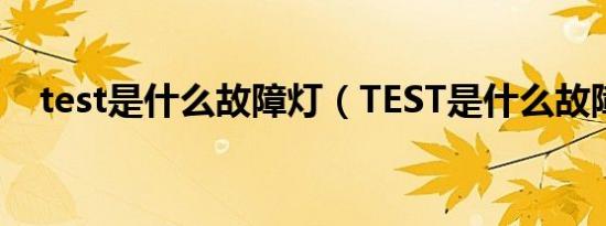 test是什么故障灯（TEST是什么故障灯）