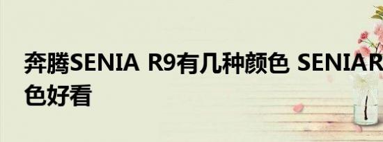 奔腾SENIA R9有几种颜色 SENIAR9什么颜色好看 