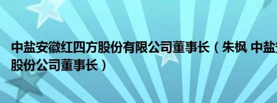 中盐安徽红四方股份有限公司董事长（朱枫 中盐安徽红四方股份公司董事长）