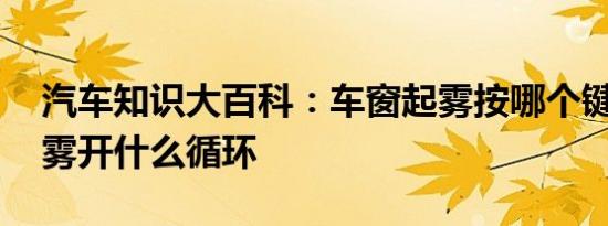 汽车知识大百科：车窗起雾按哪个键 车内起雾开什么循环