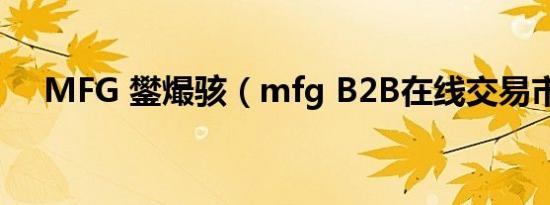 MFG 鐢熶骇（mfg B2B在线交易市场）