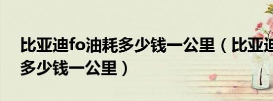 比亚迪fo油耗多少钱一公里（比亚迪fo油耗多少钱一公里）