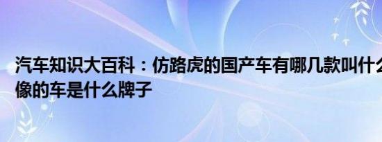 汽车知识大百科：仿路虎的国产车有哪几款叫什么 跟路虎很像的车是什么牌子